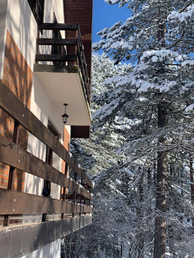 Vila Lucic Zlatibor Exterior foto
